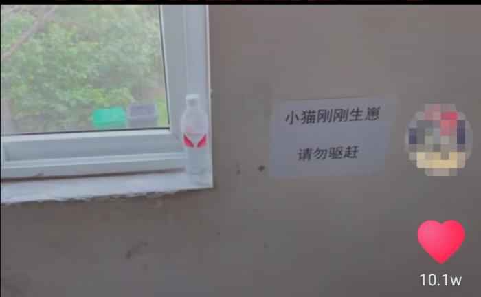  武汉百步亭这家“月子中心”火了 网友：太暖心！