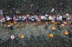 广东喊全国人民吃菠萝！热搜背后，徐闻种植户