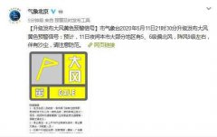 北京升级发布大风黄色预警 11日夜间阵风9级伴有